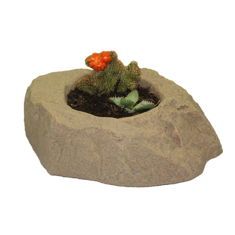 Ebern Designs Wickes Pot Planter Wayfair